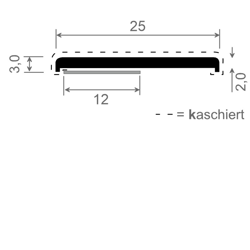 Flachprofil 25x3mm SK Lg. 6,00m foliert 436 1006metbrush Anthrazitgrau Produktbild BIGSKZ L