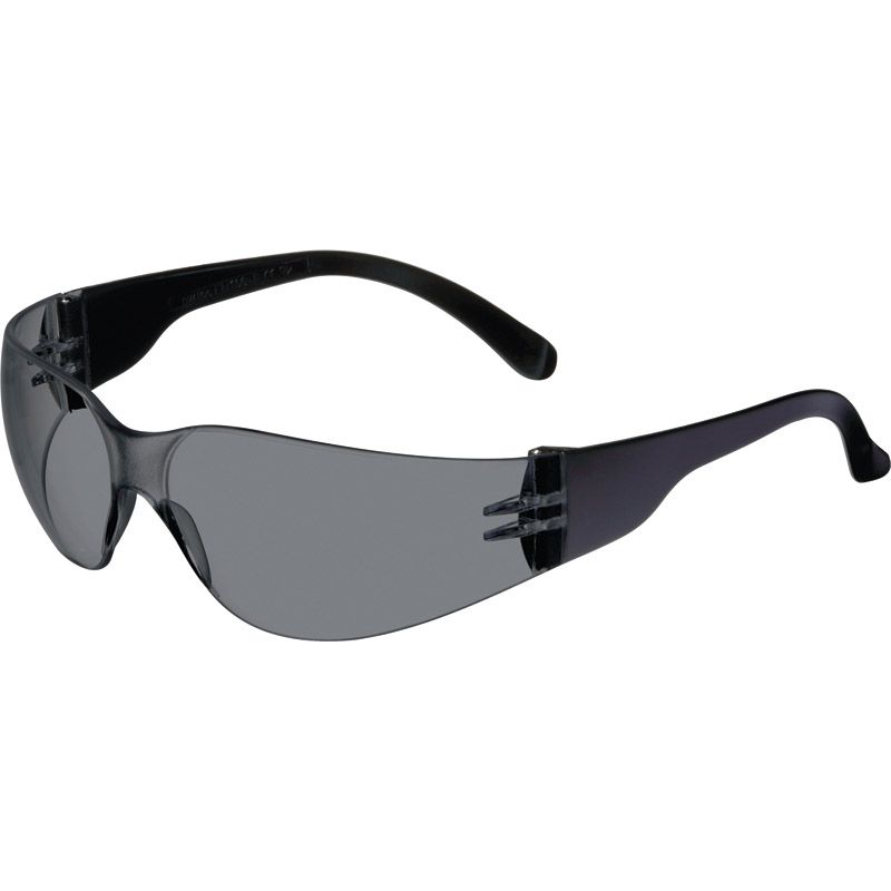 PROMAT Schutzbrille Daylight Basic EN 166 Bügel schwarz, Scheibe smoke Polycarbonat Produktbild BIGPIC L