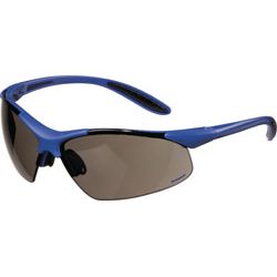 PROMAT Schutzbrille Daylight Premium EN 166 Bügel blau, Scheibe smoke Polycarbonat Produktbild